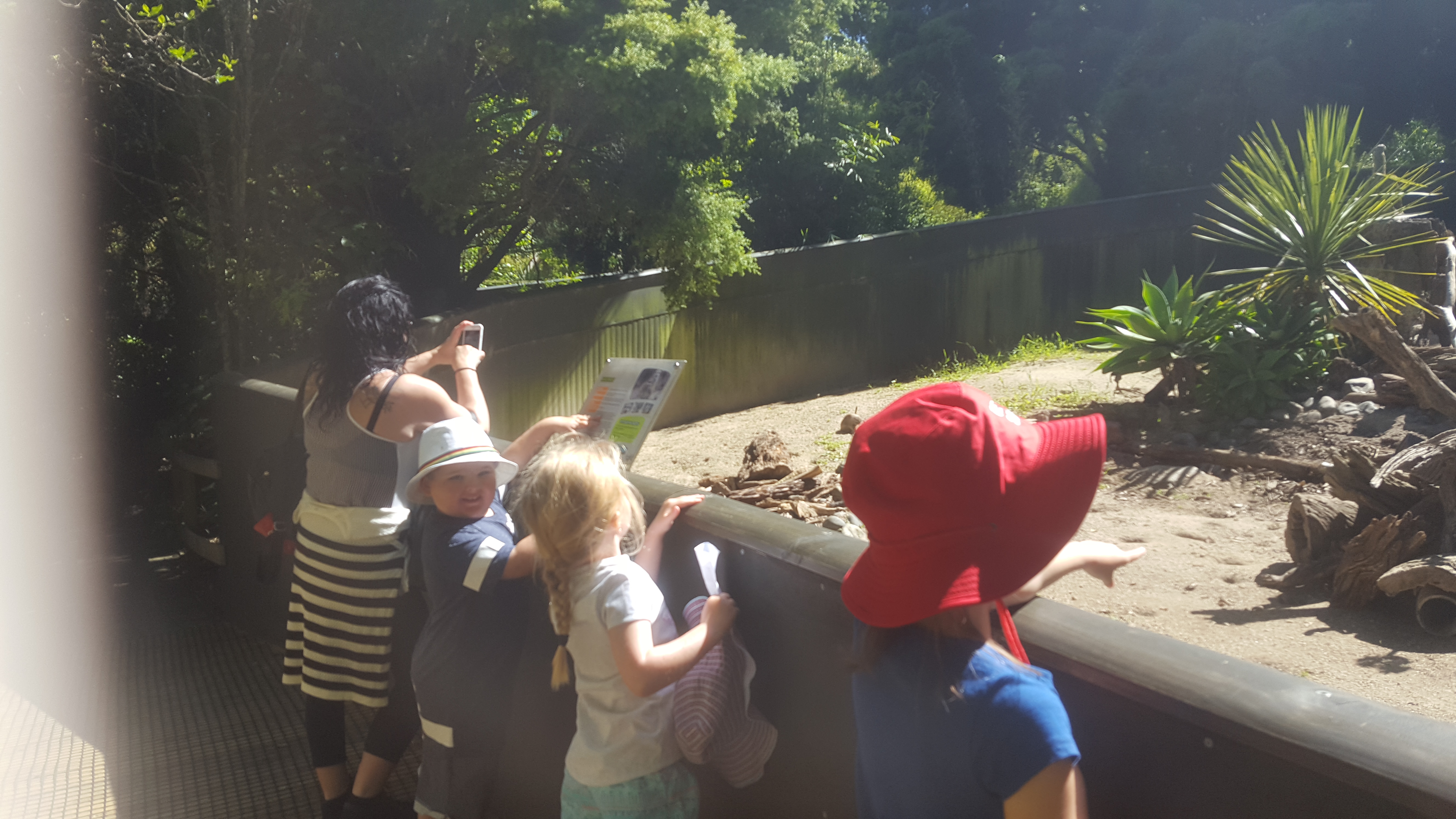 Te Pahu Preschool children visit the Otorohanga Kiwi House