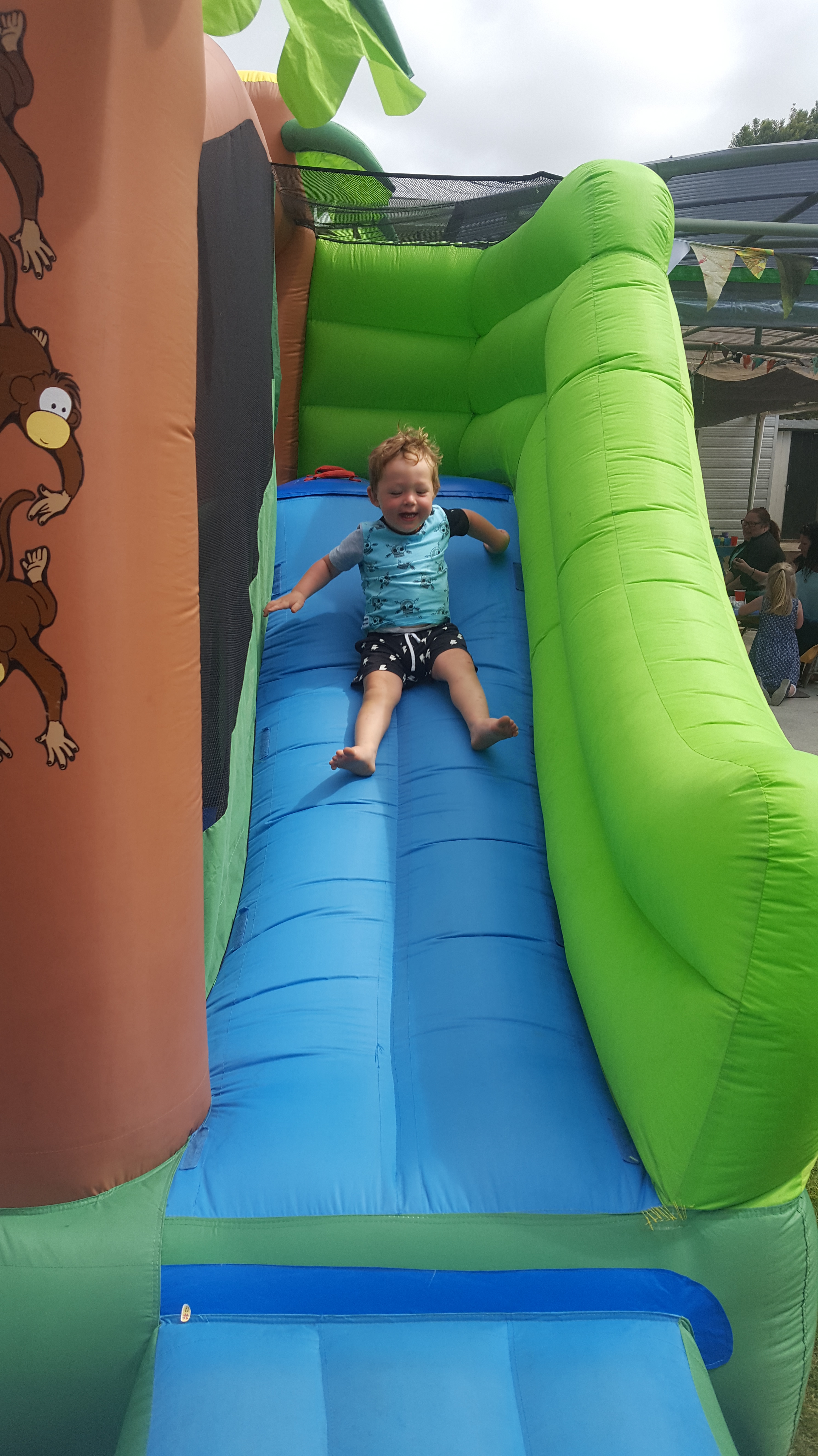 Te Pahu Preschool Family Fun Day going down the slide