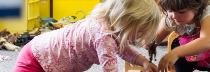 Te Pahu Preschoolers playing with block and toy horses