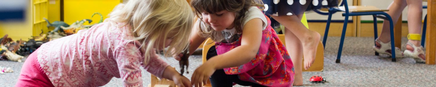 Te Pahu Preschoolers playing with blocks and toy horses